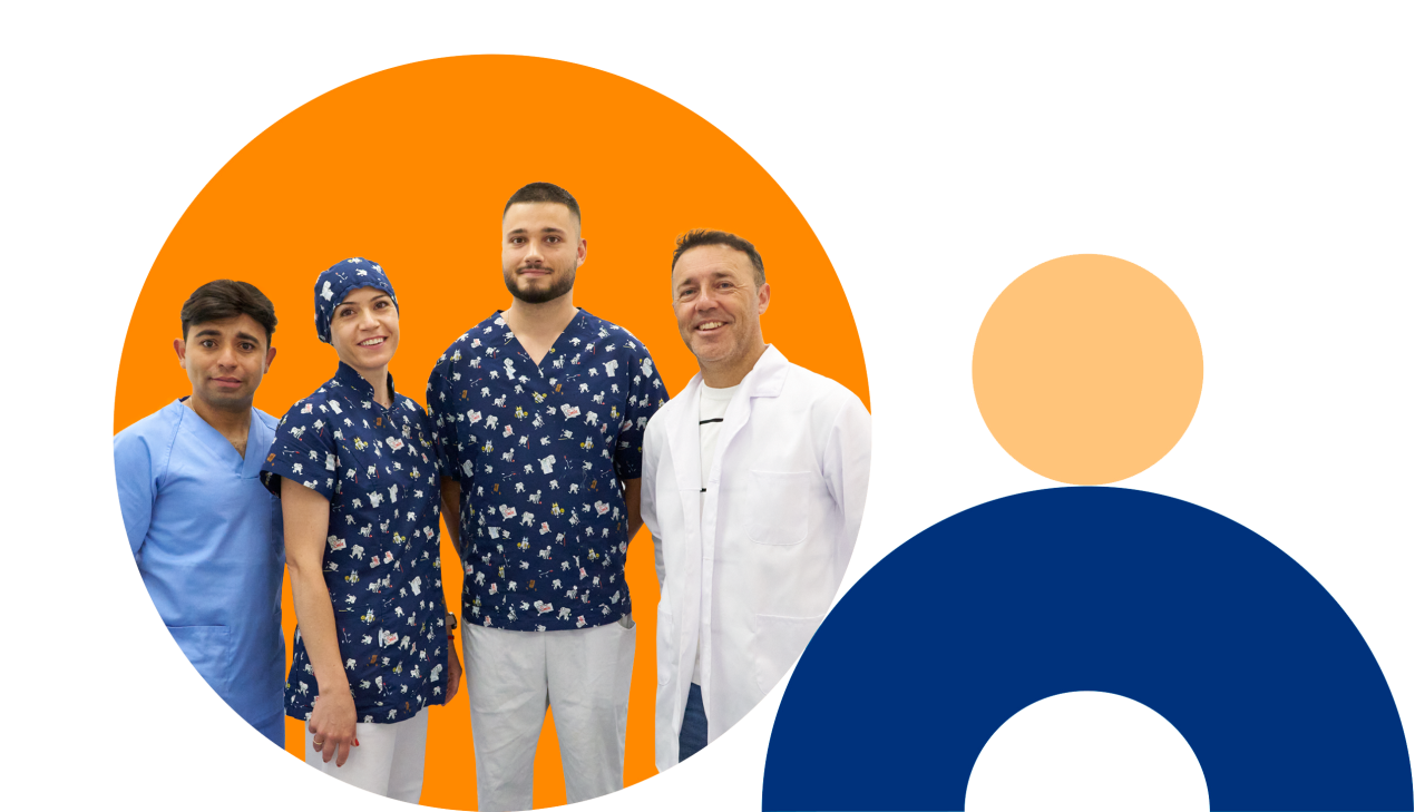 imagen formas de colores corporativos